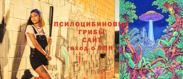 соль ск Абдулино