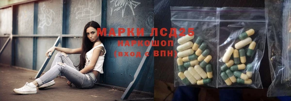 хмурый Абаза
