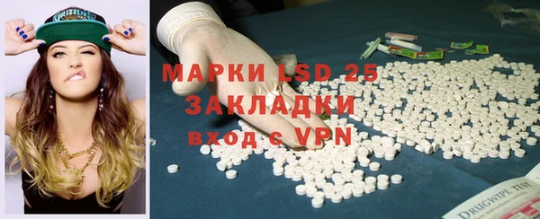 PSILOCYBIN Алзамай