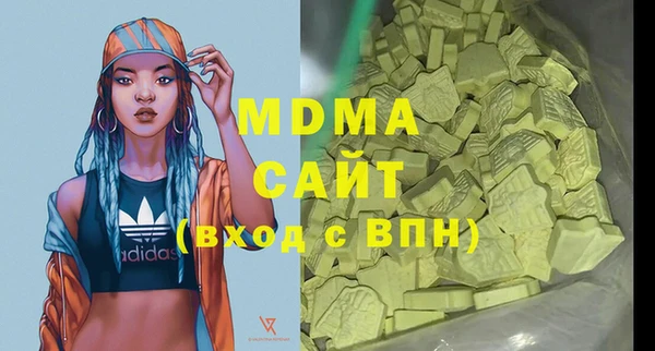 хмурый Абаза