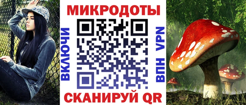 Псилоцибиновые грибы Cubensis  Болохово 